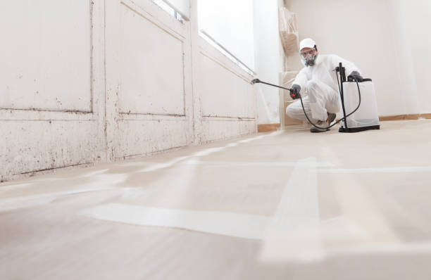 24/7 Emergency Mold Remediation experts in Belle Haven, VA